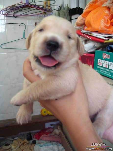 ����ϲ����ë������ע����