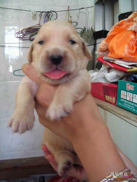 ����ϲ����ë������ע����