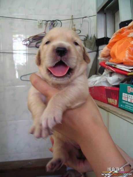 ����ϲ����ë������ע����