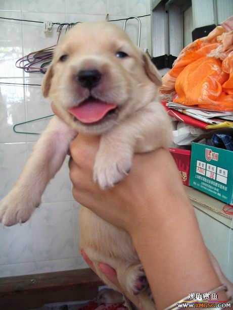 ����ϲ����ë������ע����