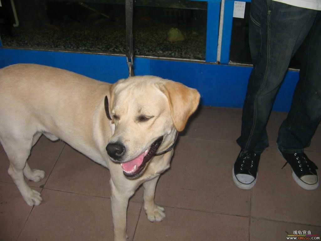 [�̼�]������֮�� ����·