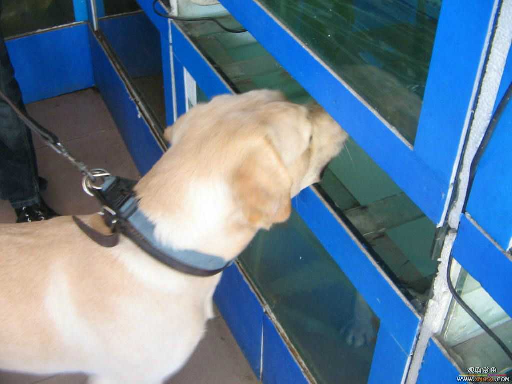 [�̼�]������֮�� ����·