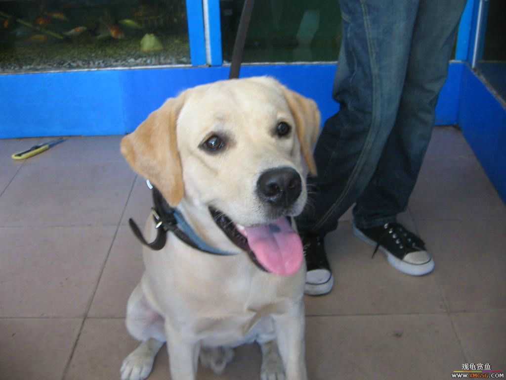 [�̼�]������֮�� ����·