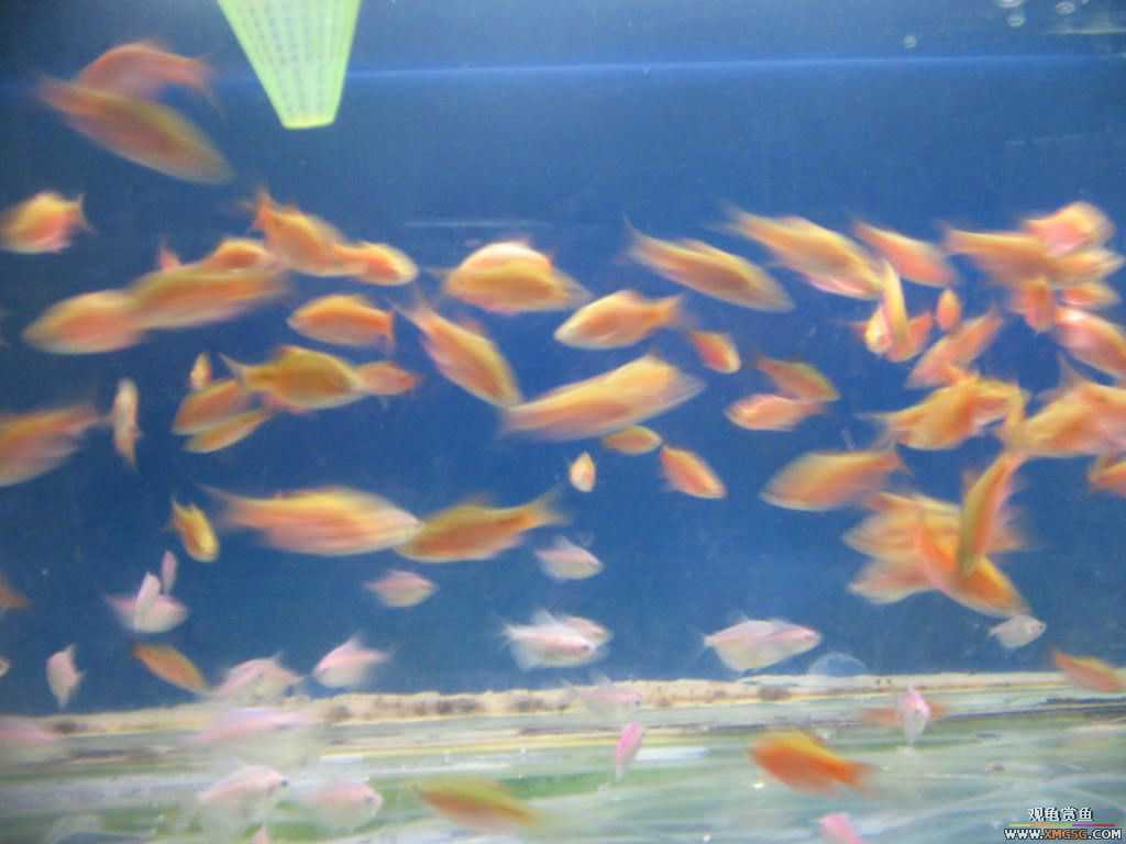 [�̼�]������֮�� ����·