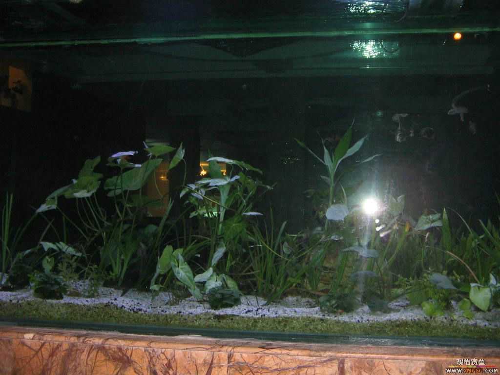 [�̼�]������֮�� ����·