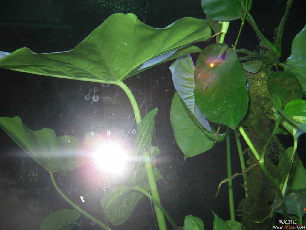 [�̼�]������֮�� ����·