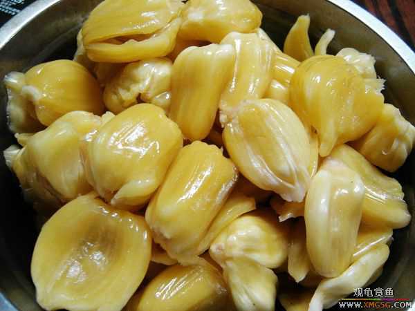 ���ڳԵ���������