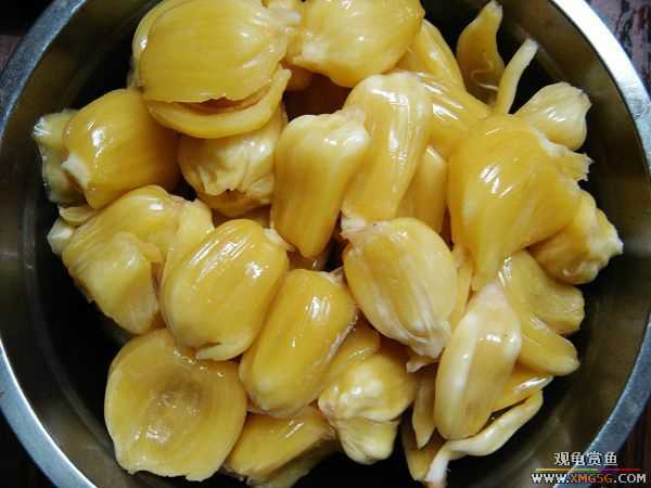 ���ڳԵ���������