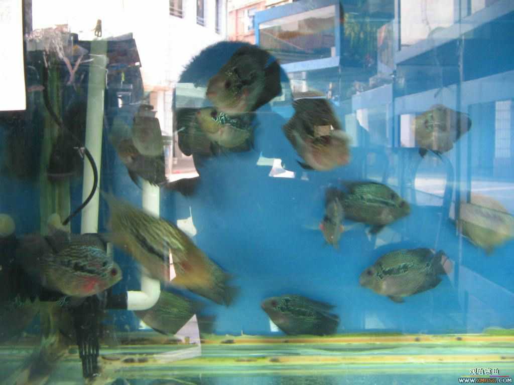 [�̼�]������֮�� ����·