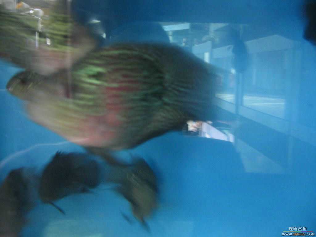 [�̼�]������֮�� ����·