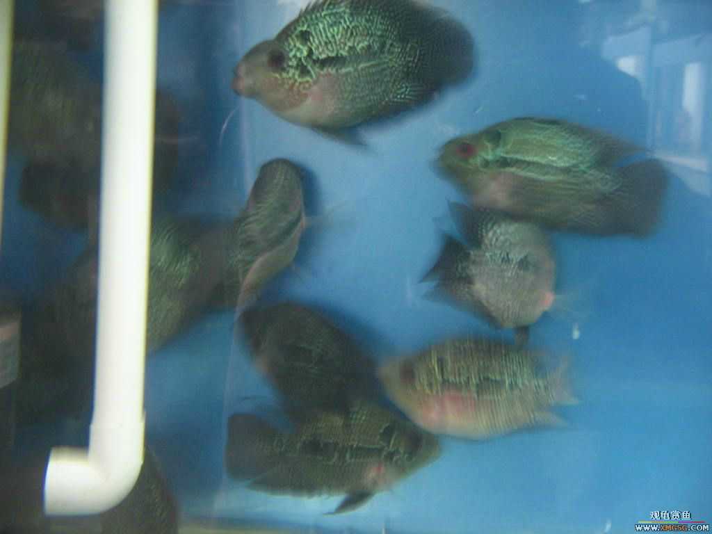 [�̼�]������֮�� ����·