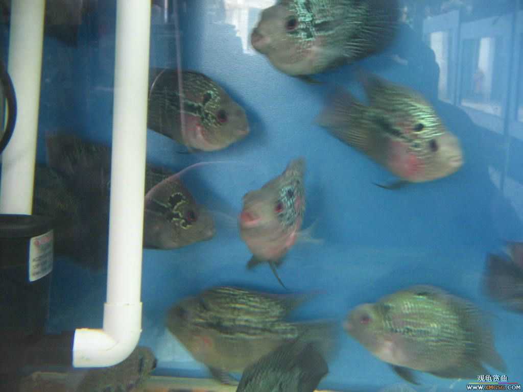 [�̼�]������֮�� ����·